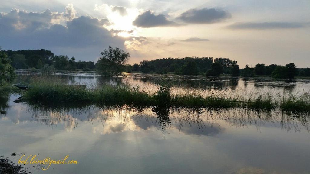 Bedloire Bed & Breakfast Drain ภายนอก รูปภาพ